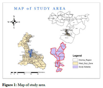 Veterinary-Diagnosis-Map