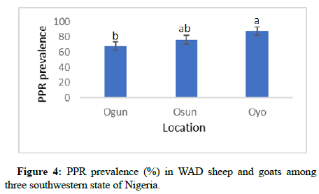 Veterinary-Diagnosis-PPR