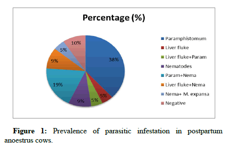 Veterinary-Diagnosis-Prevalence