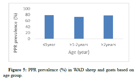 Veterinary-Diagnosis-WAD