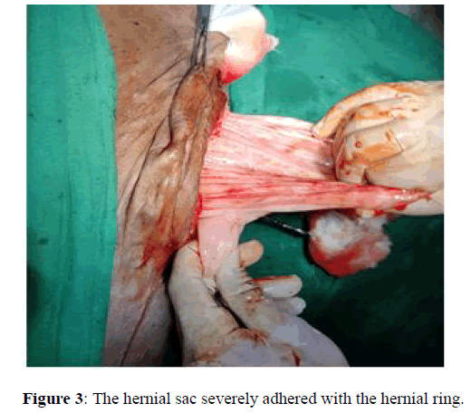 Veterinary-severely Veterinary-severely