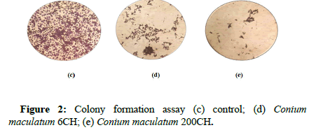 clinical-oncology-colon