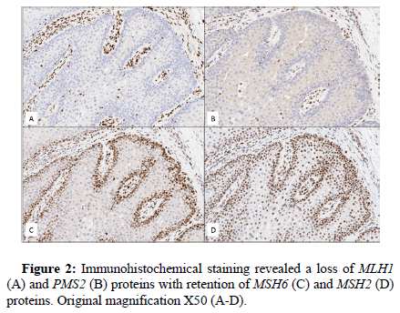 genetic-reports-stain