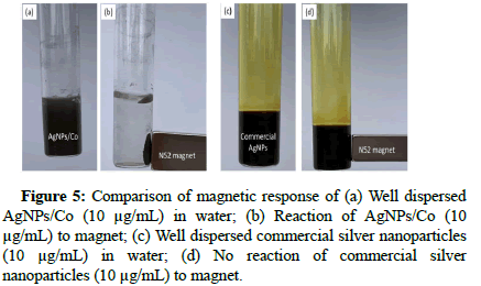 hydrogeology-well