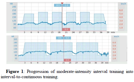 journal-physiotherapy-interval