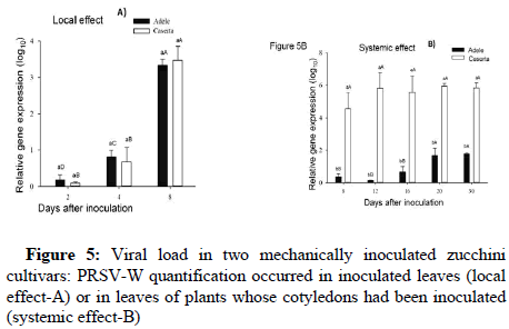 journal-plant-load