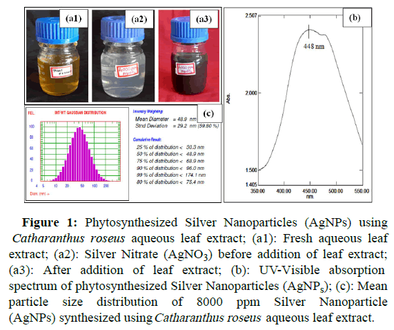 molecular-nanotechnology-Nanoparticles