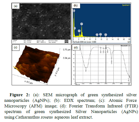 molecular-nanotechnology-micrograph