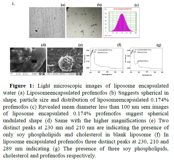 molecular-nanotechnology-microscopic