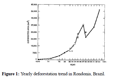 physics-research-trend