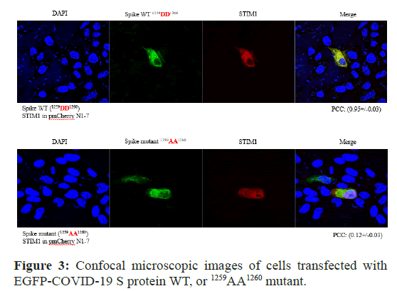 biochemistry-physiology-cells biochemistry-physiology-cells