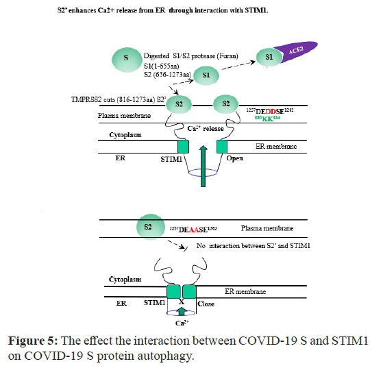 biochemistry-physiology-effect biochemistry-physiology-effect