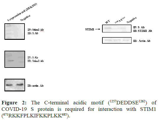 biochemistry-physiology-motif biochemistry-physiology-motif