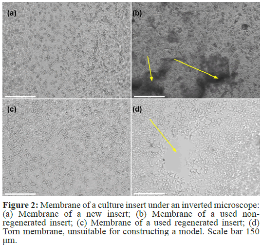 biological-methods-insert