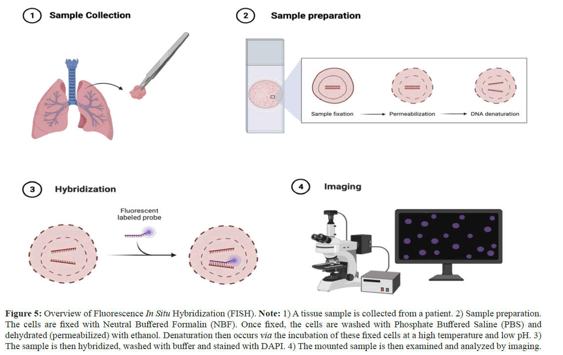 diagnoistic-biomedical-sample