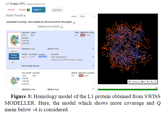 immunology-infections-homology