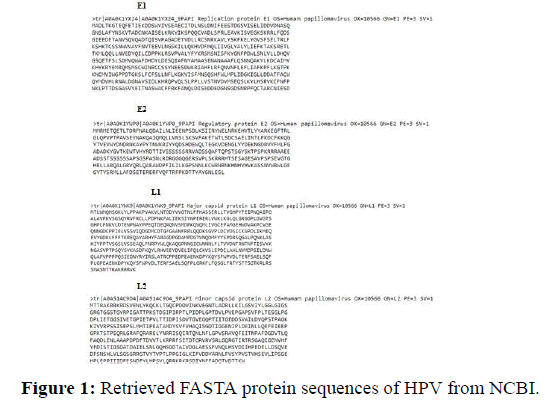 immunology-infections-protein