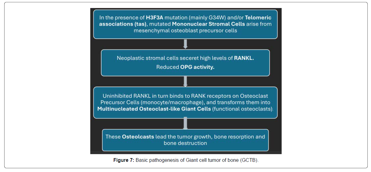 COCR-pathogenesis COCR-pathogenesis