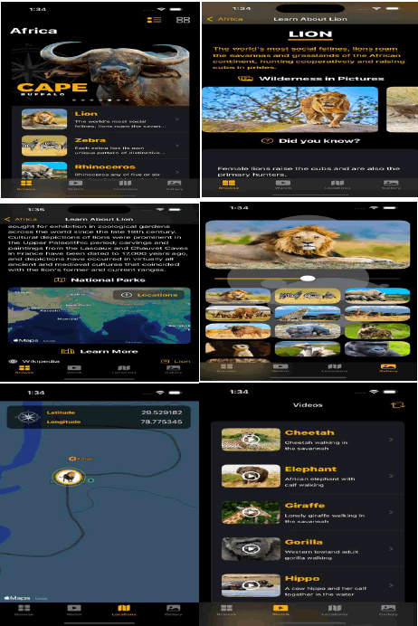 JCEIT-PULSE JCEIT-PULSE