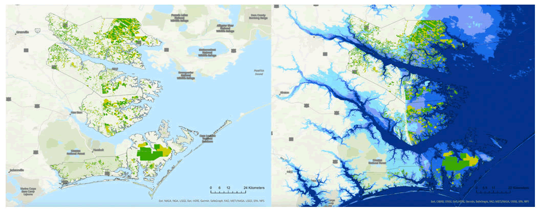 ijmhp-study ijmhp-study
