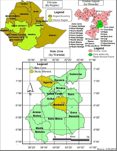ijmhp-study ijmhp-study