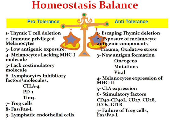 jidit-brief jidit-brief