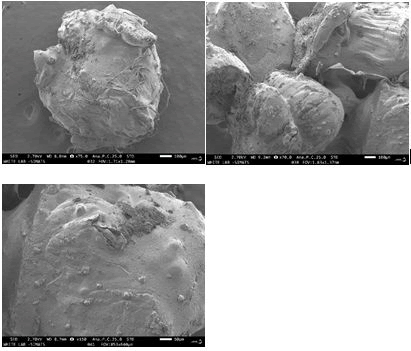 jpddr-graph jpddr-graph