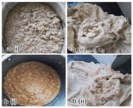 jidit-brief jidit-brief