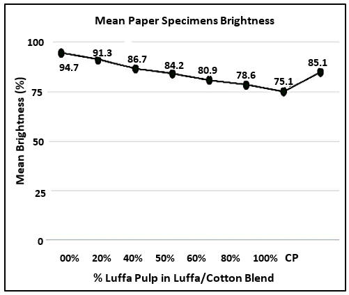 jidit-brief jidit-brief