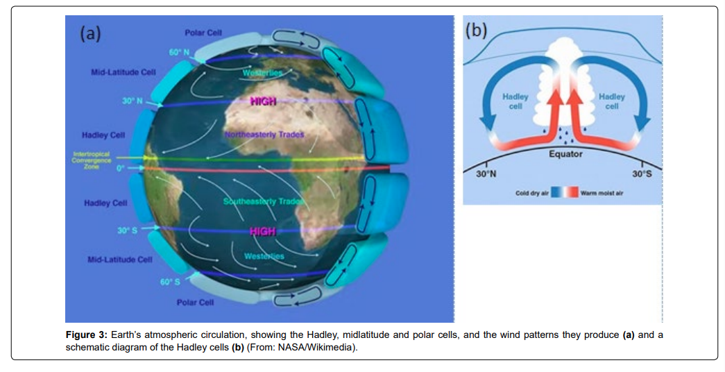 Marine-Biology-circulation