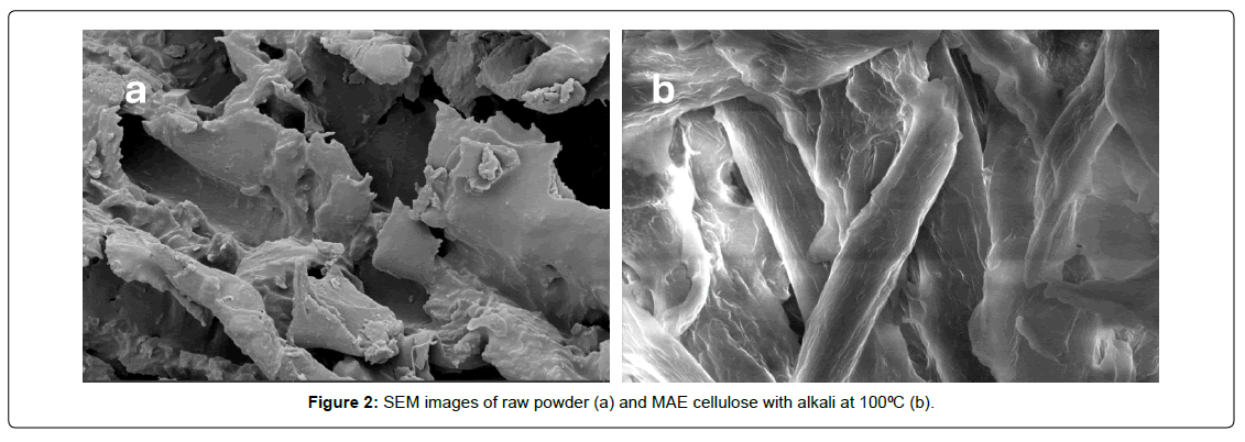 fashion-technology-textile-engineering-raw-powder