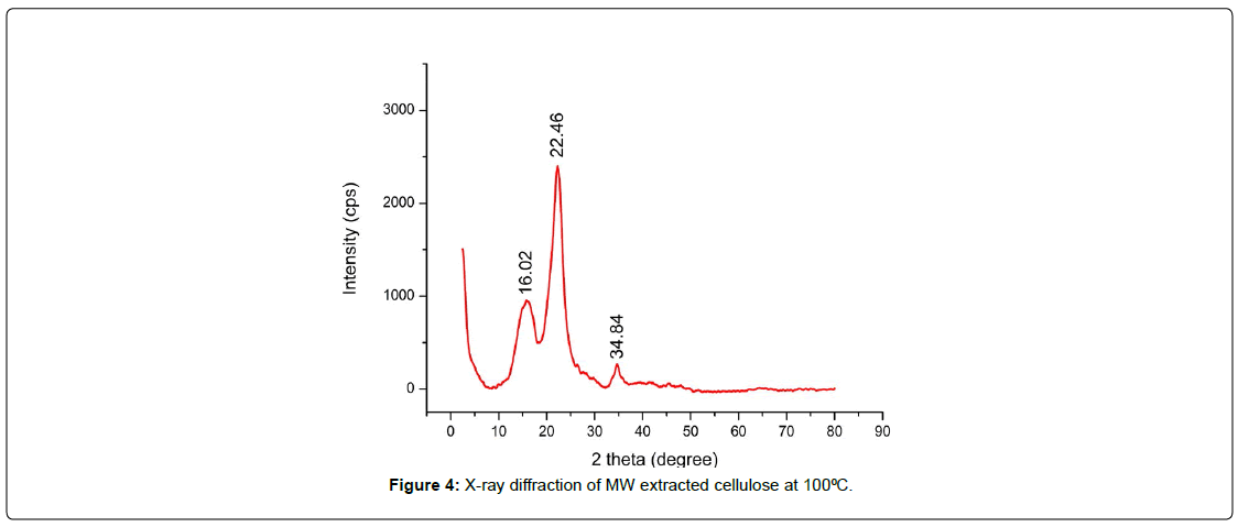 fashion-technology-textile-engineering-raw-powder