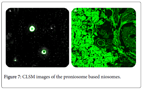 Acute-Medicine-Research-CLSM-images