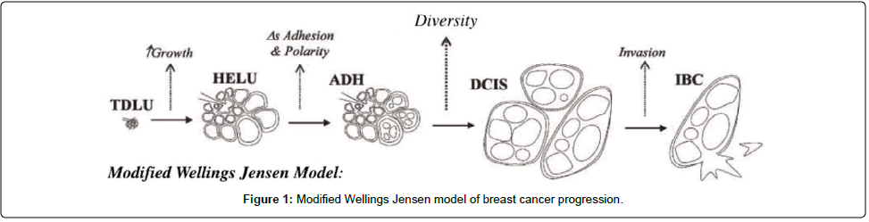 Clinical-Oncology-breast-cancer