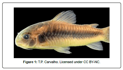 Marine-Biology-Licensed Marine-Biology-Licensed