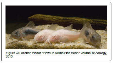 Marine-Biology-Walter Marine-Biology-Walter