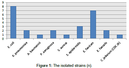 Medical-Microbiology-isolated-strains