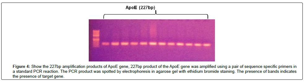 Virology-Antiviral-bromide-staining