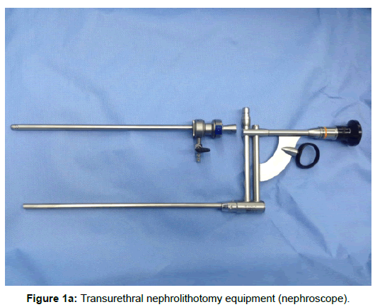 andrology-gynecology-transurethral-nephrolithotomy