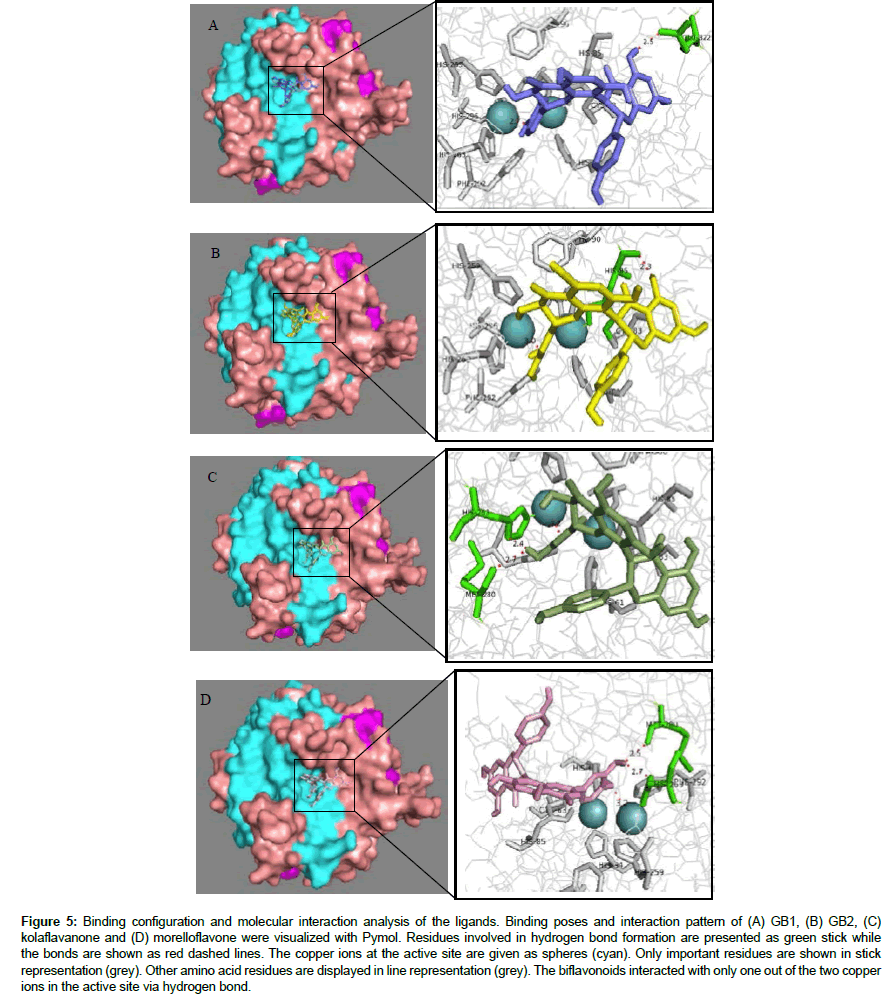 applied-bioinformatics-Binding-poses