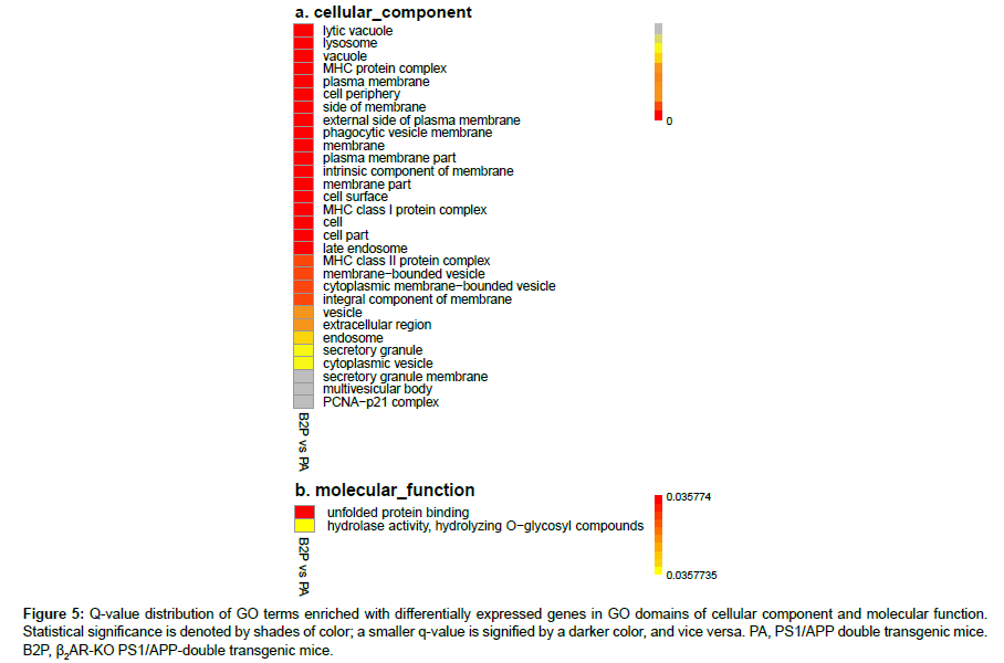 applied-bioinformatics-GO-domains