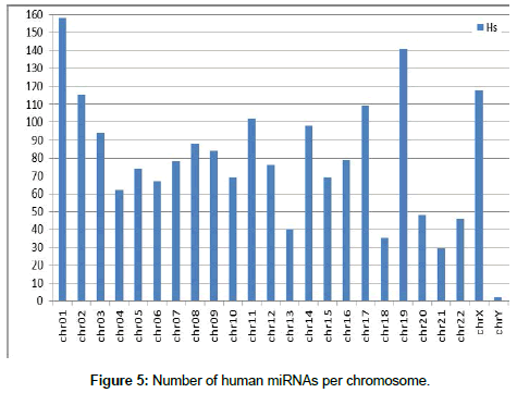 applied-bioinformatics-Number-chromosome