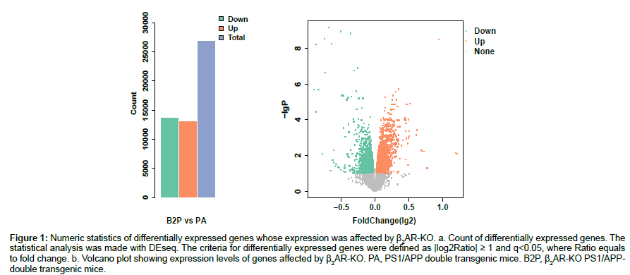 applied-bioinformatics-Numeric-statistics