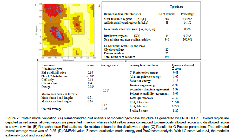 applied-bioinformatics-Protein-model