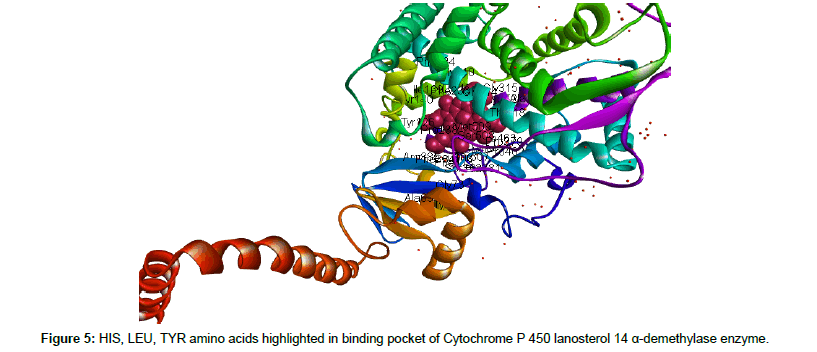 applied-bioinformatics-TYR-amino