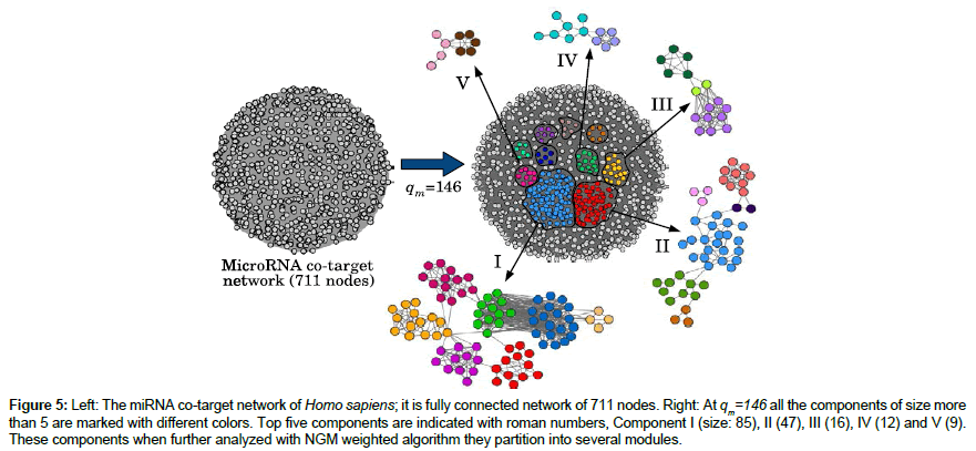 applied-bioinformatics-Top-five