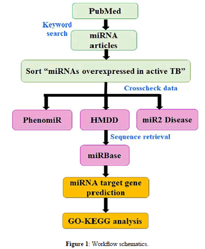 applied-bioinformatics-Workflow-schematics