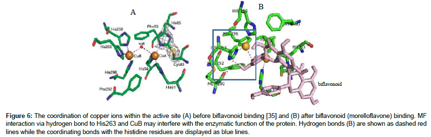 applied-bioinformatics-active-site