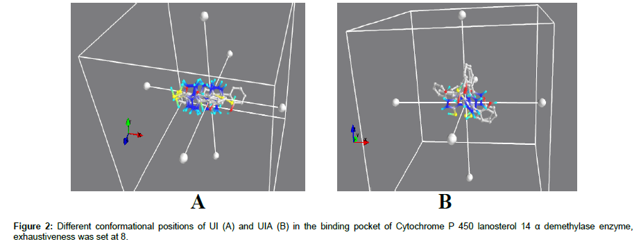 applied-bioinformatics-binding-pocket