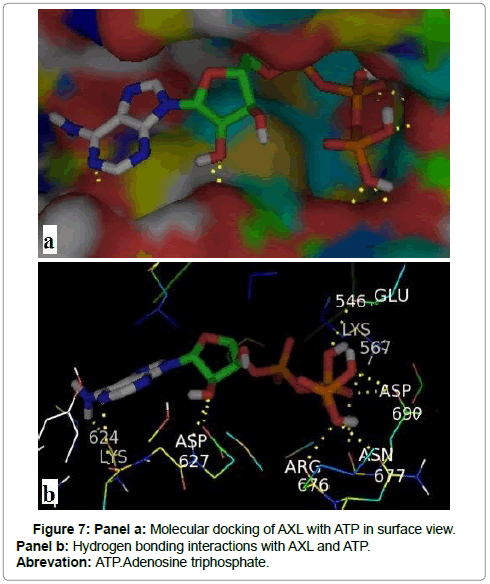 applied-bioinformatics-biology-Hydrogen-bonding